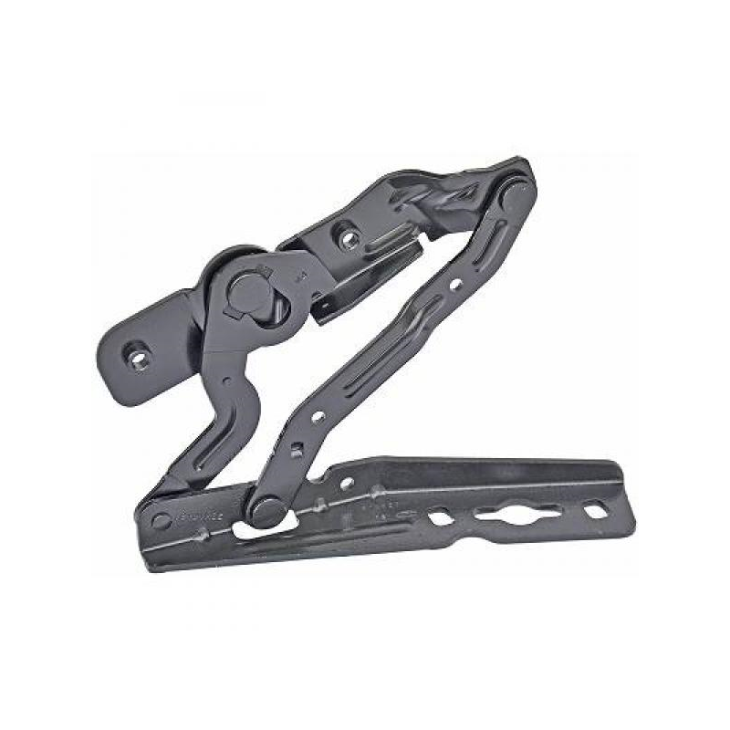 HAUBENSCHARNIER RE. C-MAX,