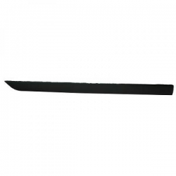 TÜRLEISTE VORNE LI. FOCUS,