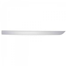 TÜRLEISTE VORNE RE. FOCUS,