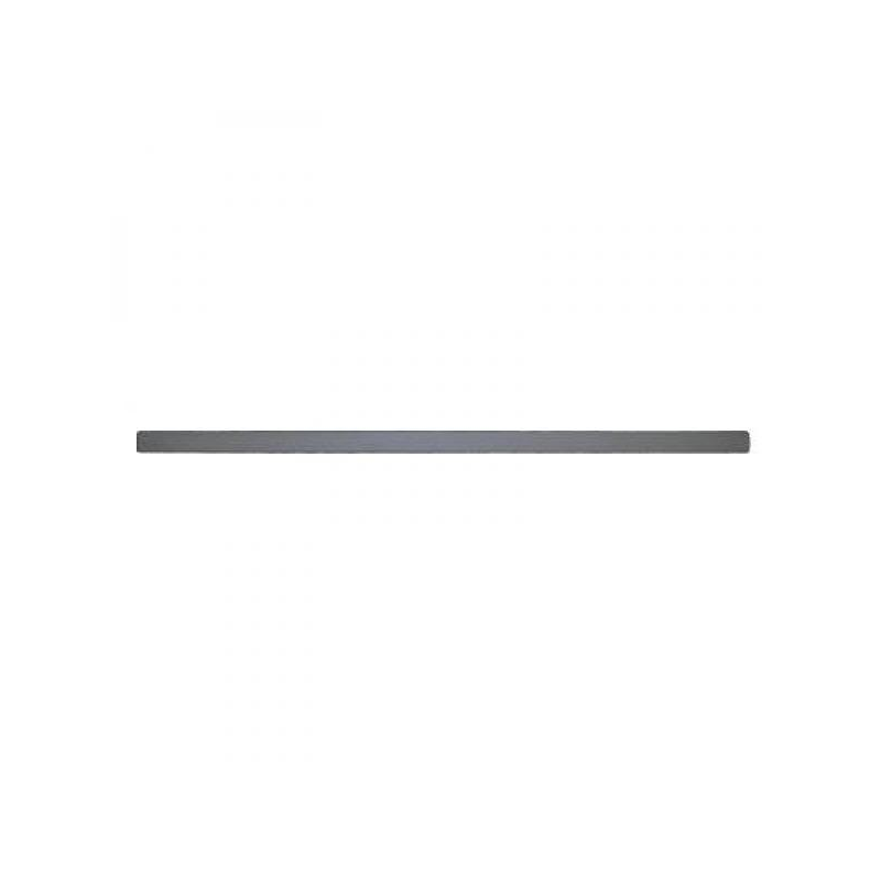 TÜRLEISTE VORNE LI. FOCUS,