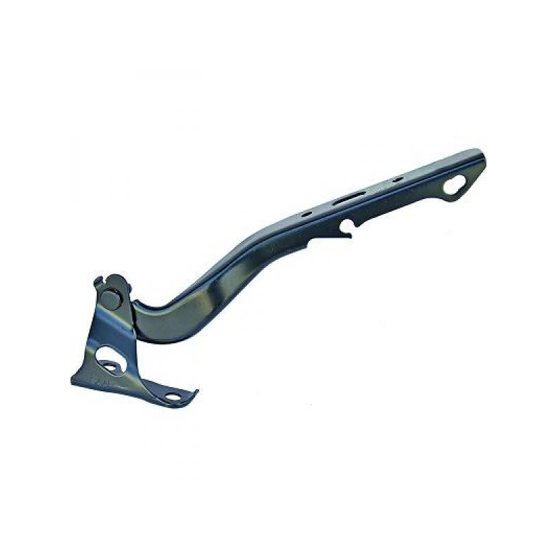 HAUBENSCHARNIER RE.  JAZZ,