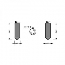 TROCKNER         CARNIVAL,