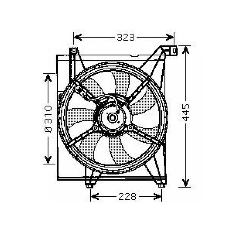 EL.L�FTER LI.      CERATO,