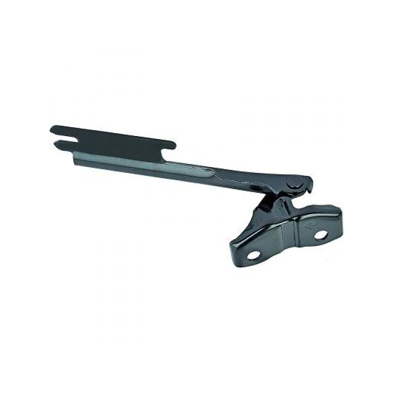 HAUBENSCHARNIER Re.MZ 323,