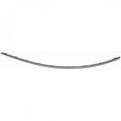 baguette chromée ARG          W204,