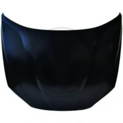  capot                   X1 E84, 