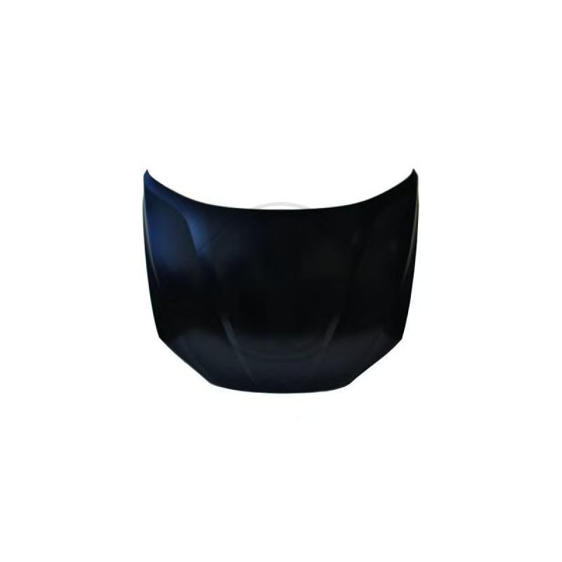  capot                   X1 E84, 