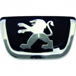 motif             P 1007,