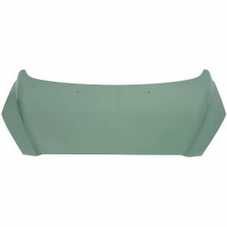 MOTORHAUBE          P 308,