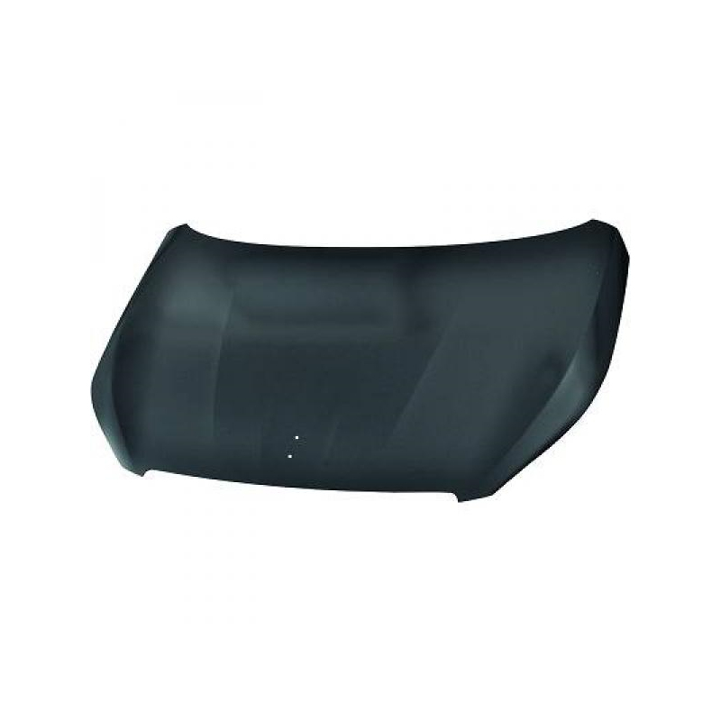 MOTORHAUBE          P 308,