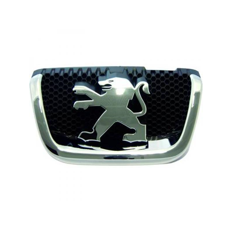 motif              P 407,