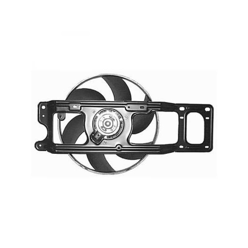 K�HLERL�FTER   CLIOMODUS,