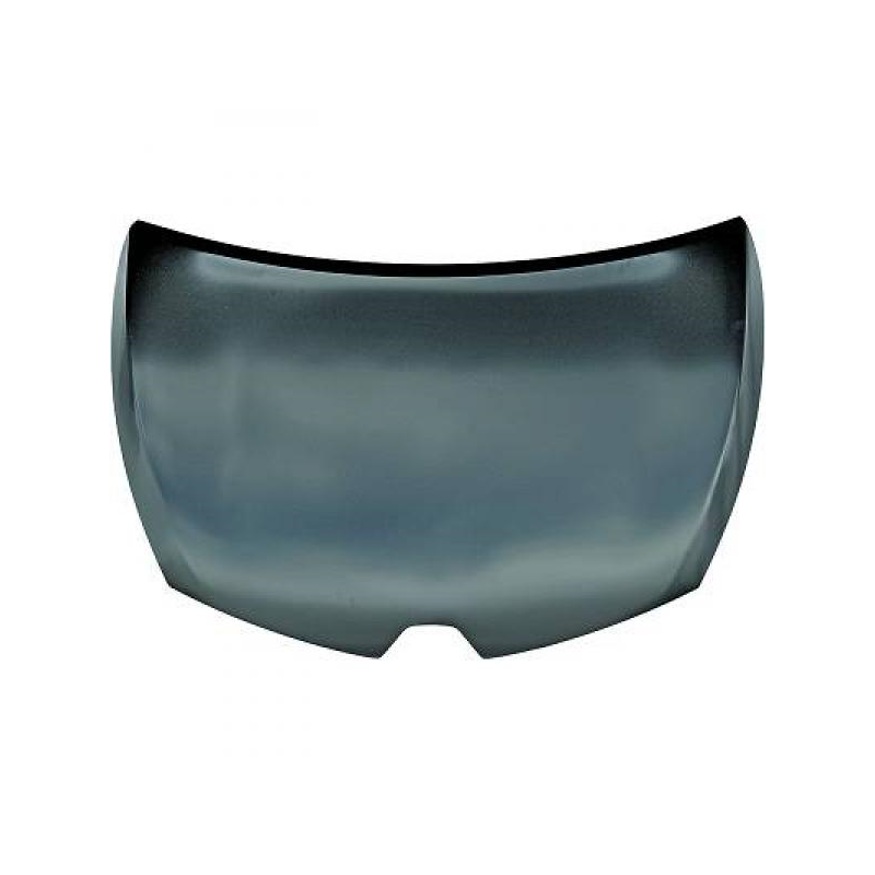 MOTORHAUBE           CLIO,