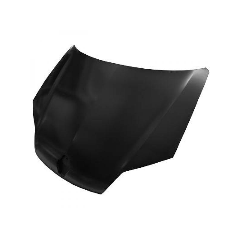 MOTORHAUBE         LAGUNA,