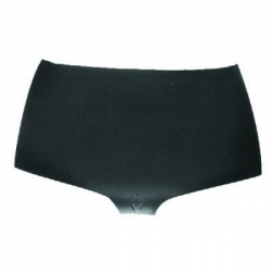 capot      MEGANE/COACH,