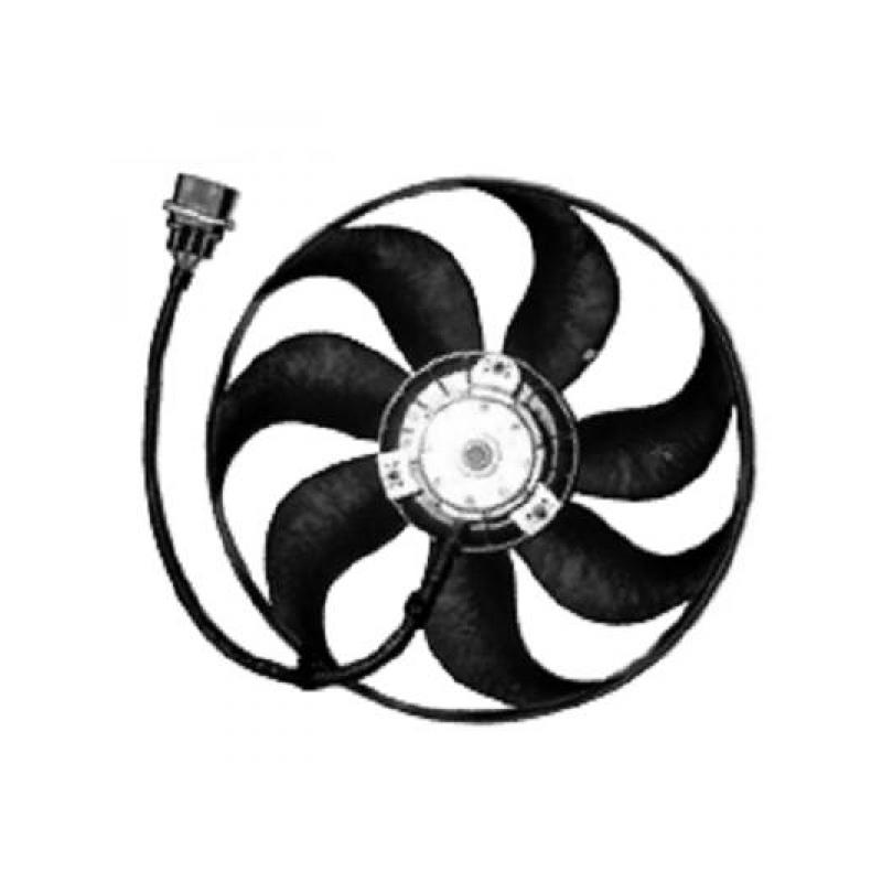 EL.L�FTER KPL. iBiZALEON,