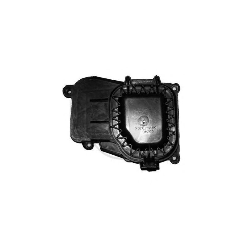  cache  D      FOCUS, 