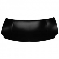 MOTORHAUBE          AURIS,