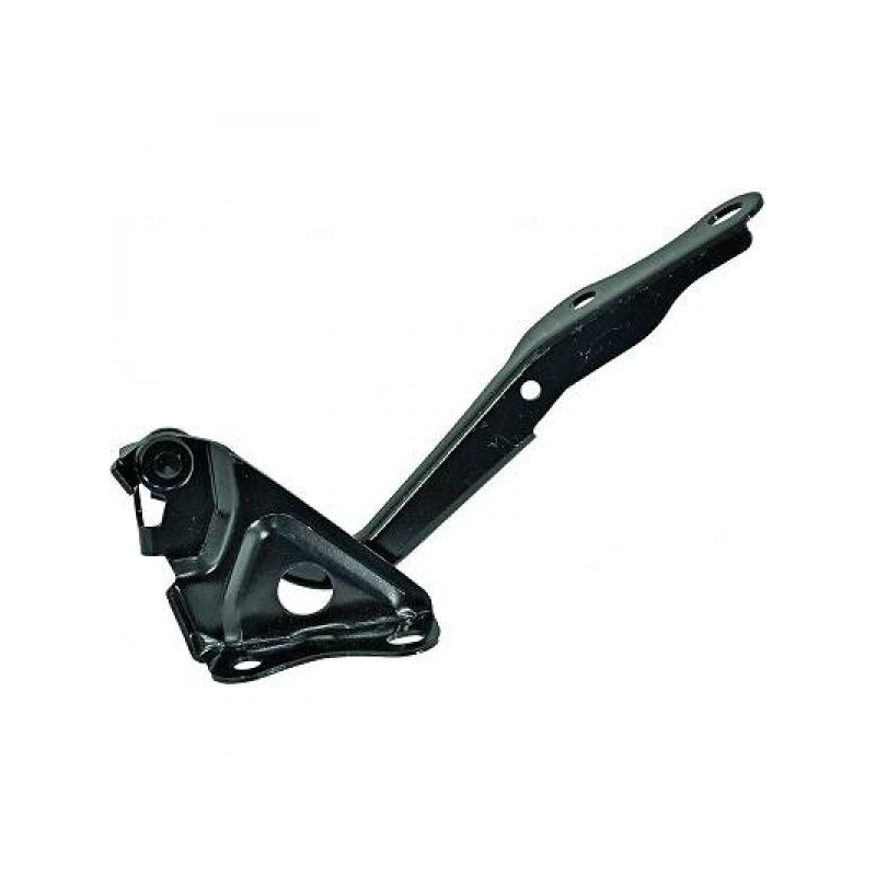 HAUBENSCHARNIER RE.  RAV4,