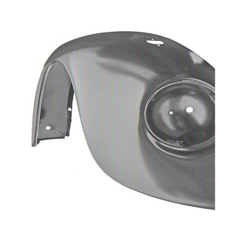 aile AVD    coccinelle ,