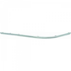 ZIERLEISTE HINT.LI.PASSAT,