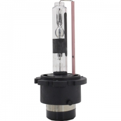 D2R Xenon Bulbs 10000K