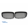 Front Grille suitable for BMW 5 Series F07 Gran Turismo 2009-up M-Performance Front Grille suitable for BMW 5 Series F07 Gran Turismo 2009-up M-Performance