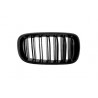 Central Grilles Kidney suitable for BMW X5 X6 (F15) (F16) (2014-up) X5M X6M Double Stripe Design M-Package Sport with Camera Central Grilles Kidney suitable for BMW X5 X6 (F15) (F16) (2014-up) X5M X6M Double Stripe Design M-Package Sport with Camera