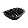 Front Kidney Grilles suitable for BMW Z3 Coupe (1996-2002) Matte Black Front Kidney Grilles suitable for BMW Z3 Coupe (1996-2002) Matte Black