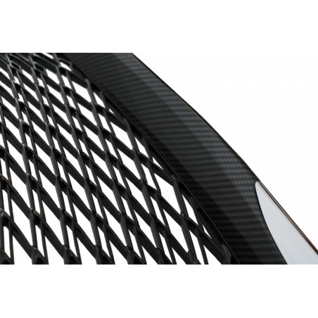 Front Grille suitable for LEXUS GS-F L10 (2015-2018) F-Sport Design Front Grille suitable for LEXUS GS-F L10 (2015-2018) F-Sport Design