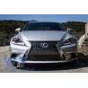 Front Grille suitable for LEXUS IS XE30 (2014-2017) IS F-Sport Design Front Grille suitable for LEXUS IS XE30 (2014-2017) IS F-Sport Design