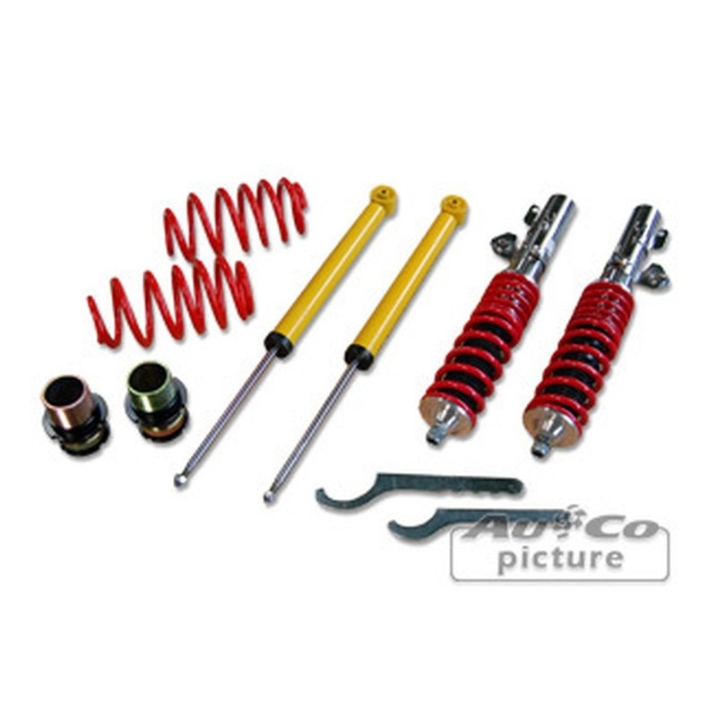 Kit de Combinés Filetés Seat Leon (1M) / Toledo (1M)