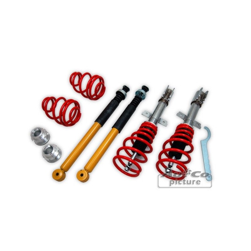 Kit de Combinés Filetés Renault Clio III