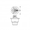 Lampe Xénon D2S / 5000 K (Kelvin) Lampe Xénon D2S / 5000 K (Kelvin)