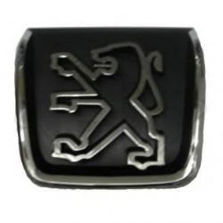 motif calandre         P 306,