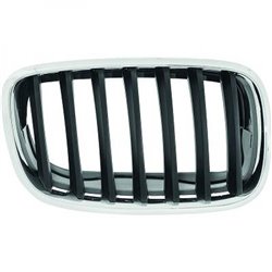 Calandre gauche    BMW X5