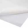 vidaXL Films 4D de voiture 2 pcs Blanc 100x150 cm vidaXL Films 4D de voiture 2 pcs Blanc 100x150 cm