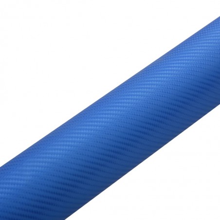 vidaXL Films 4D de voiture 2 pcs Bleu 100x150 cm