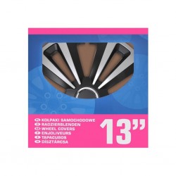 ProPlus Enjoliveurs Terra Argenté et noir 13" 4 pcs