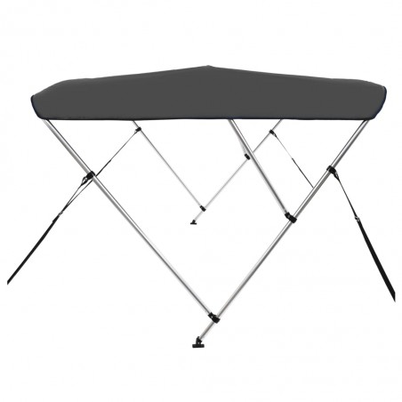 Auvent bimini à 3 arceaux Anthracite 183x140x137 cm