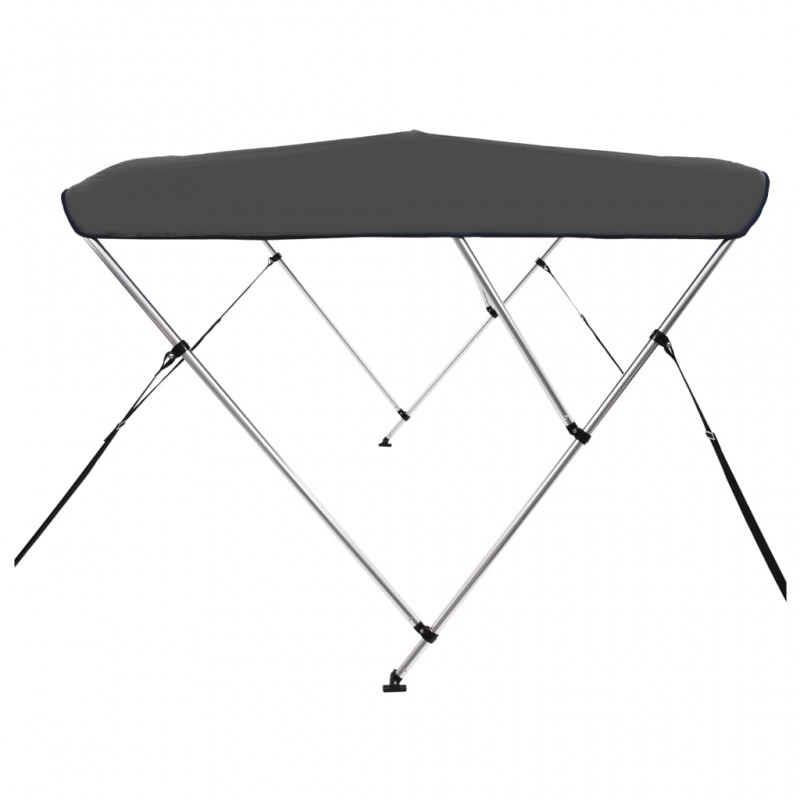 Auvent bimini à 3 arceaux Anthracite 183x160x137 cm