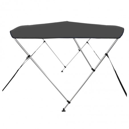 Auvent bimini à 3 arceaux Anthracite 183x196x137 cm