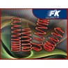 Ressorts d'abaissement Opel Astra H (AH / SW) uniquement combi VA / HA env.25 mm Ressorts d'abaissement Opel Astra H (AH / SW) uniquement combi VA / HA env.25 mm