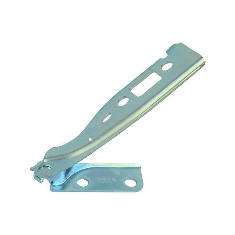 CHARNIÈRE CAPOT 02-août Oem: 1140198