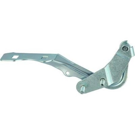 CHARNIÈRE CAPOT 04-nov Oem: 1318469 CHARNIÈRE CAPOT 04-nov Oem: 1318469