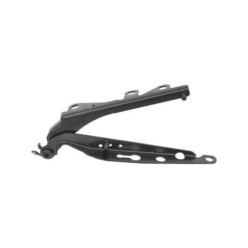 [Titre FR] 00-10 Oem: 31217345