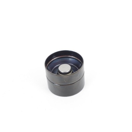 Suiveur de came - Pièces d'origine VW/Audi 038109309C Suiveur de came - Pièces d'origine VW/Audi 038109309C
