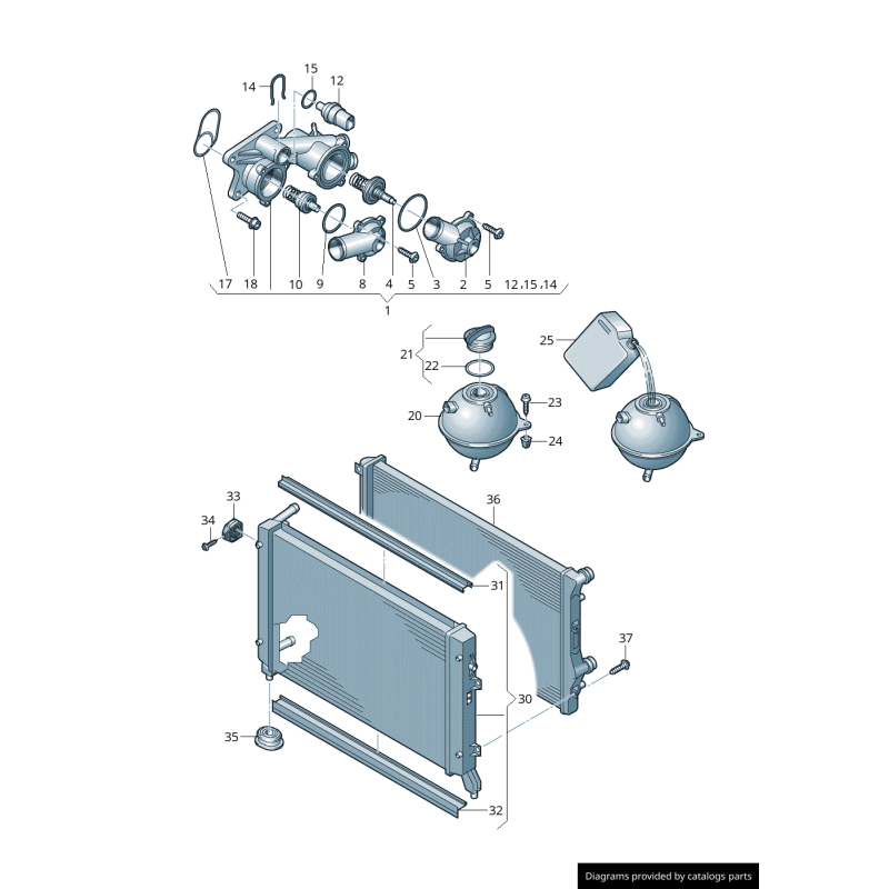 Thermostat - Pièces d'origine VW/Audi 03C121111T