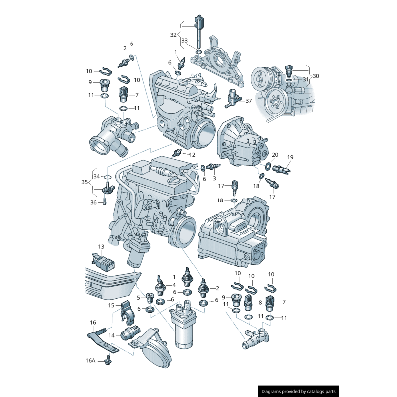 Interrupteur de pression d'huile noir - Pièces d'origine VW/Audi 03C919081