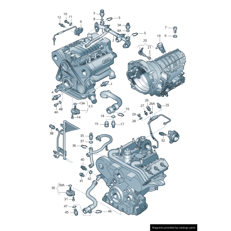 Interrupteur de pression d'huile vert - Pièces d'origine VW/Audi 059919081G